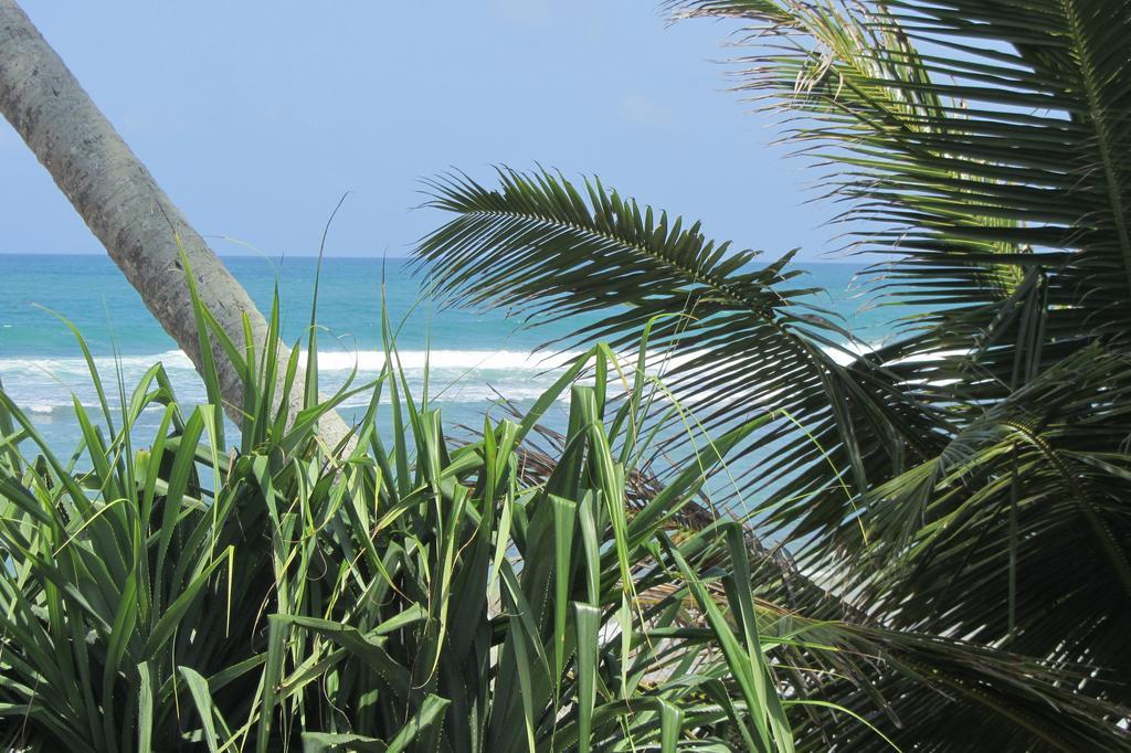 Azure Beach Villa Koggala Exterior photo